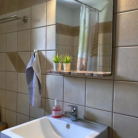 Little Garden House شقة Krinitsa