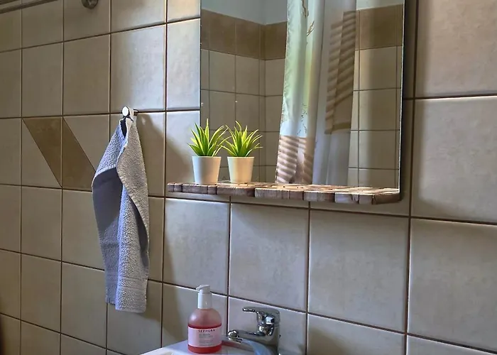 Little Garden House Lägenhet Krinitsa